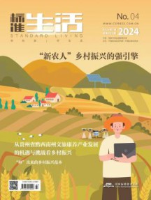 标准生活杂志